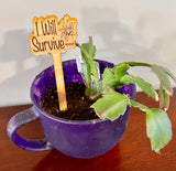 Flower/plant stakes. Funny plant sayings.