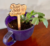 Flower/plant stakes. Funny plant sayings.