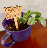 Flower/plant stakes. Funny plant sayings.