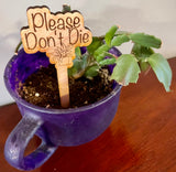 Flower/plant stakes. Funny plant sayings.